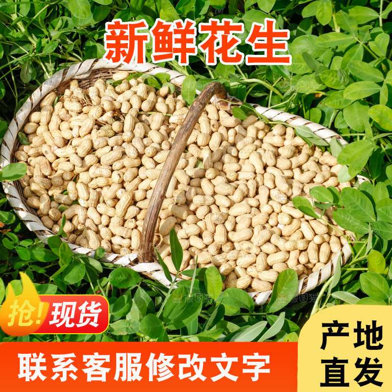 地里放着一筐现挖花生