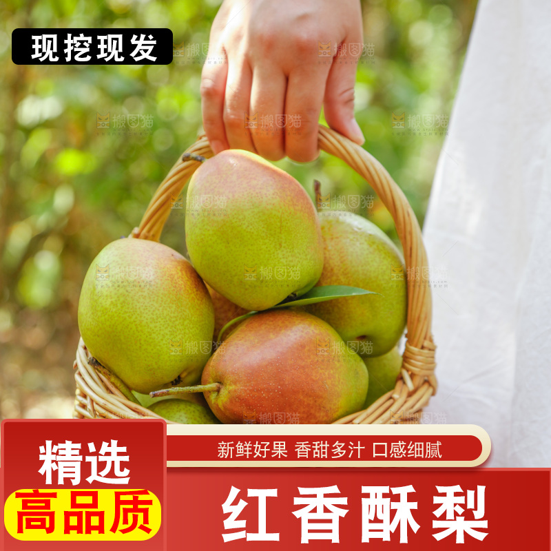 手提着一篮红酥梨