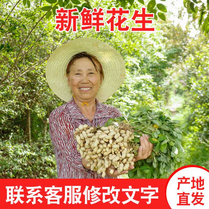 农民手里抱着新鲜花生