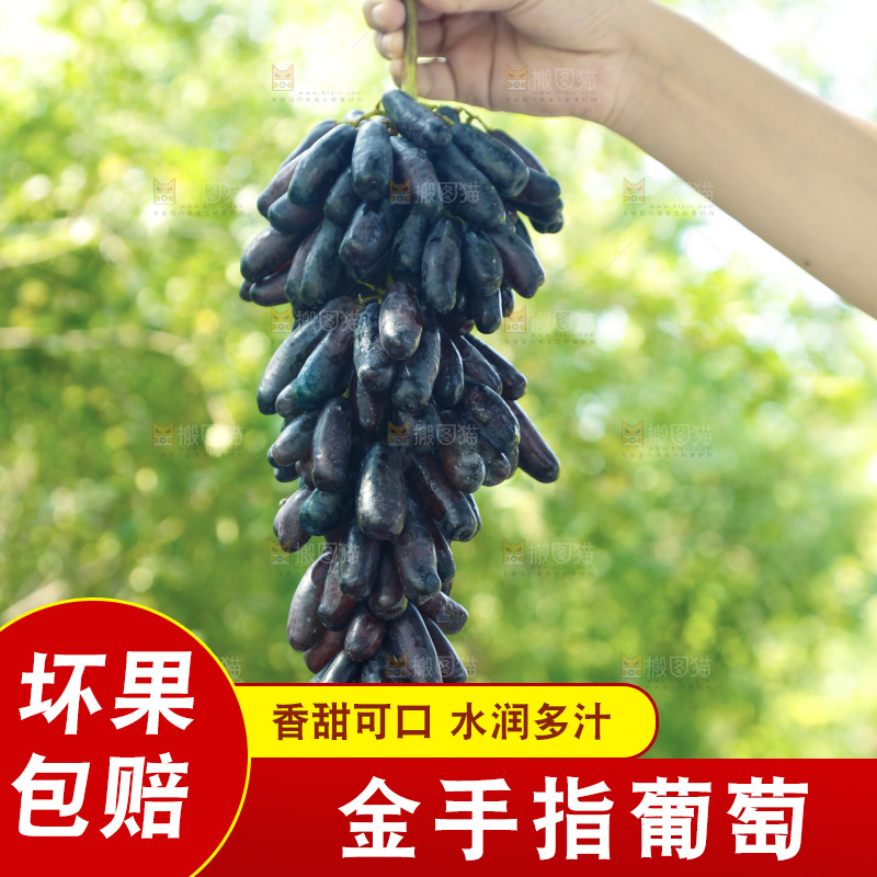 手里拿着一串蓝宝石葡萄