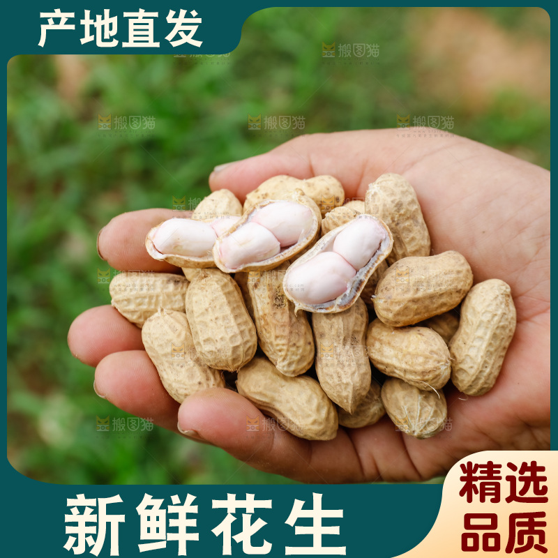 手里的拿着鲜花生