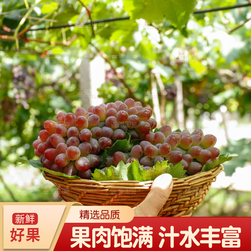 手里拿着一篮茉莉香红提