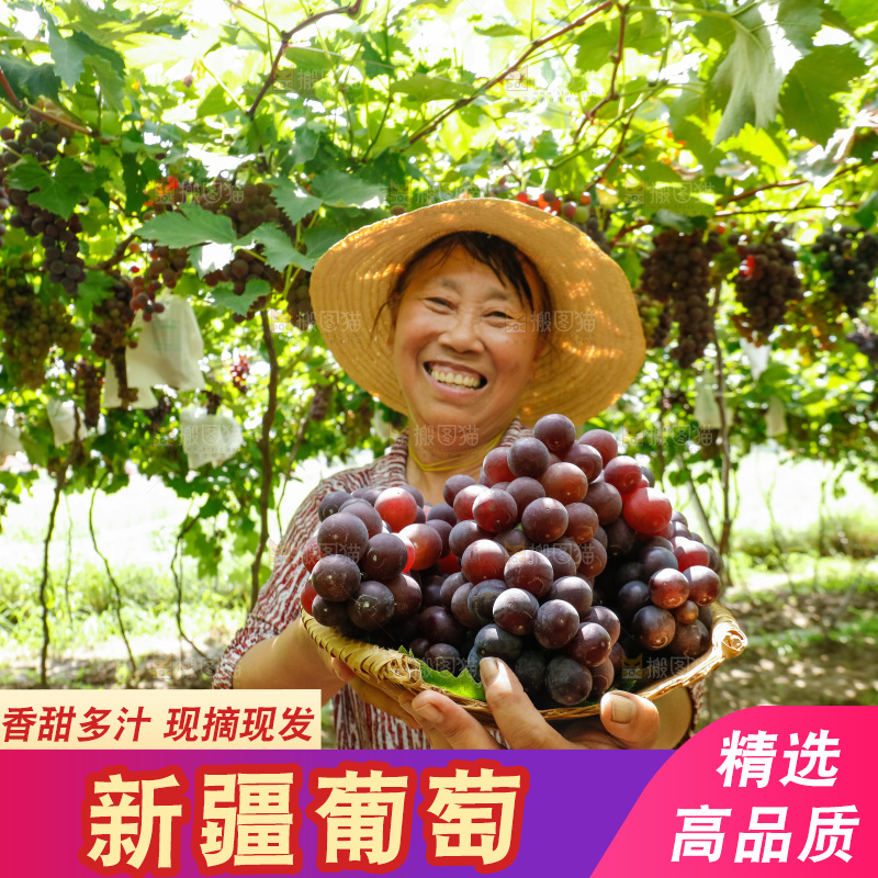 农民手里拿着一筐新鲜葡萄