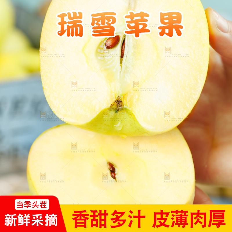 手里拿着瑞雪黄苹果