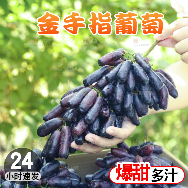 手里拿着美人指黑提