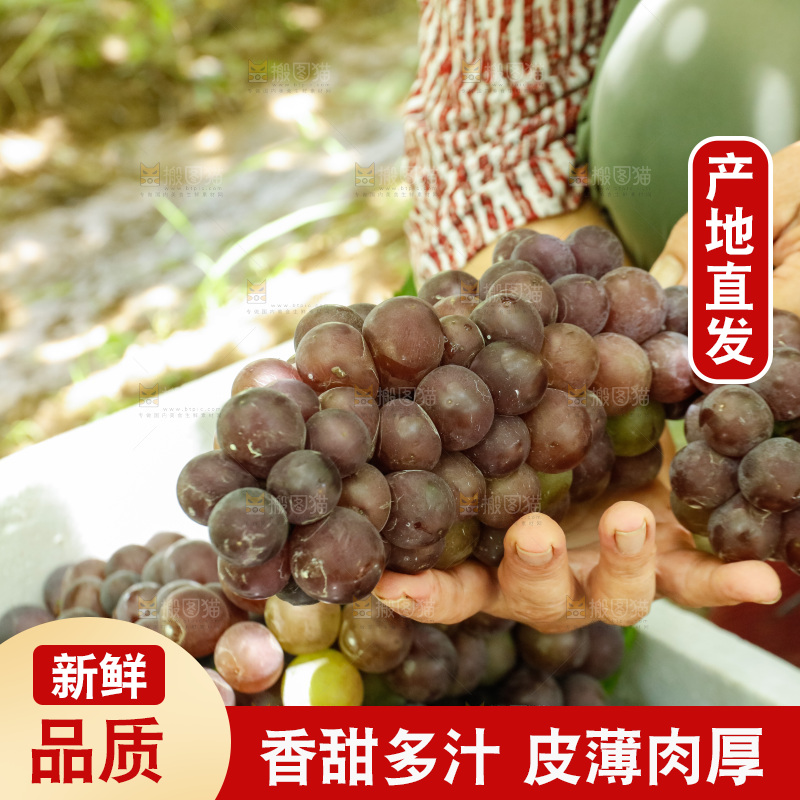 手里拿着新鲜葡萄