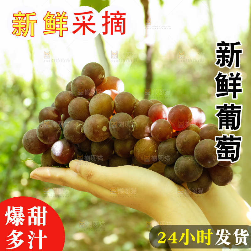 手里拿着一串大葡萄