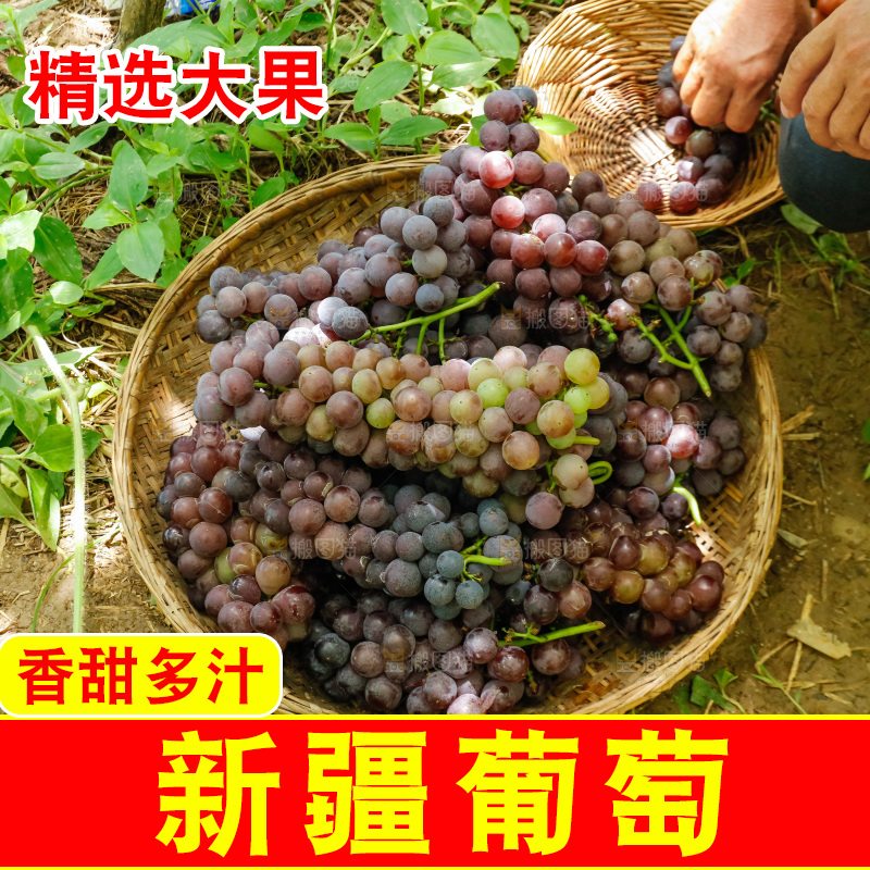 篮子里的新疆葡萄