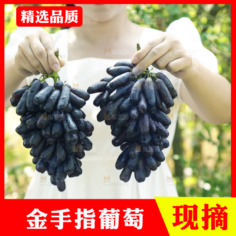 手里拿着蓝宝石葡萄