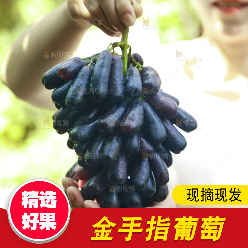 女孩手里拿着金手指葡萄