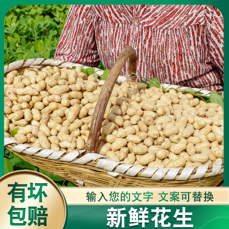 手里抱着一筐新鲜花生