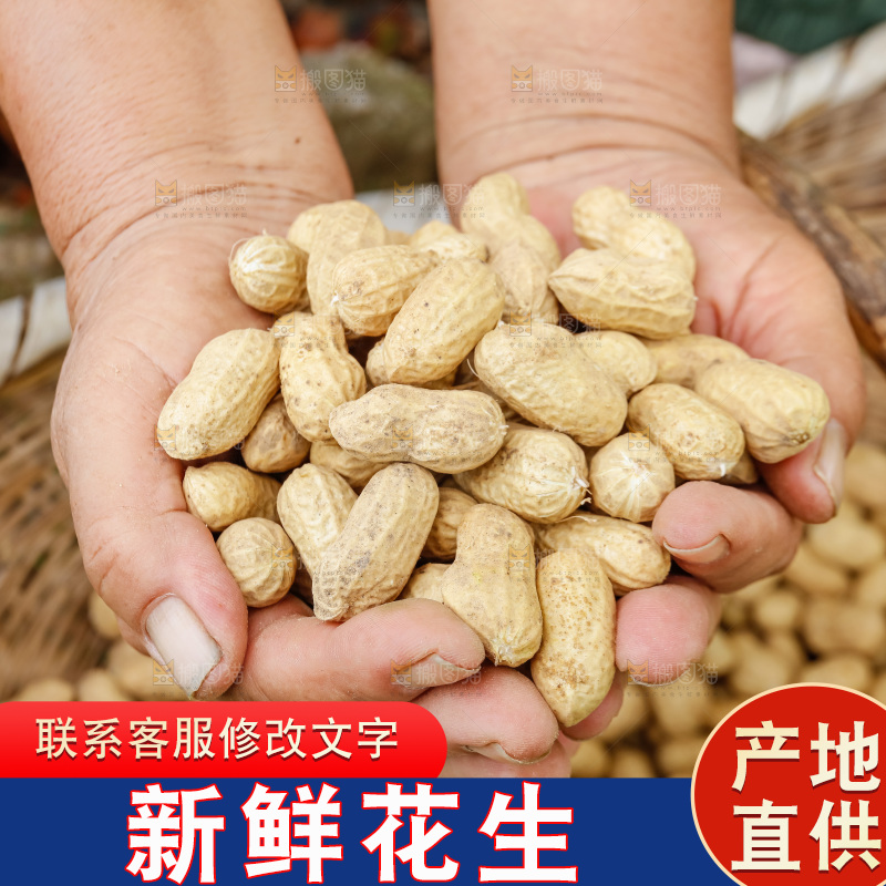 手里的捧着带壳花生