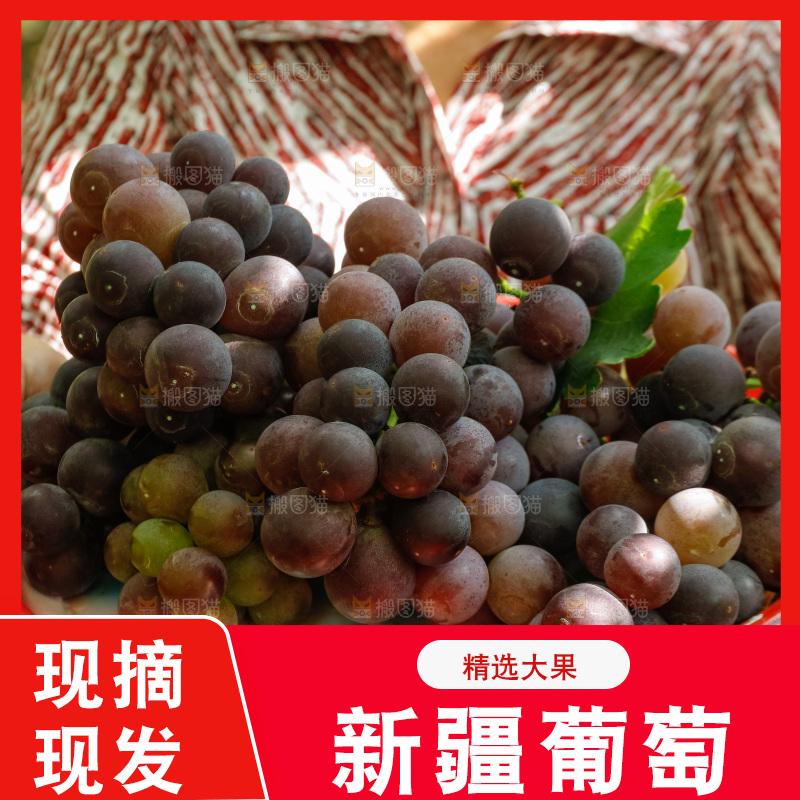 手里端着一盘新鲜葡萄