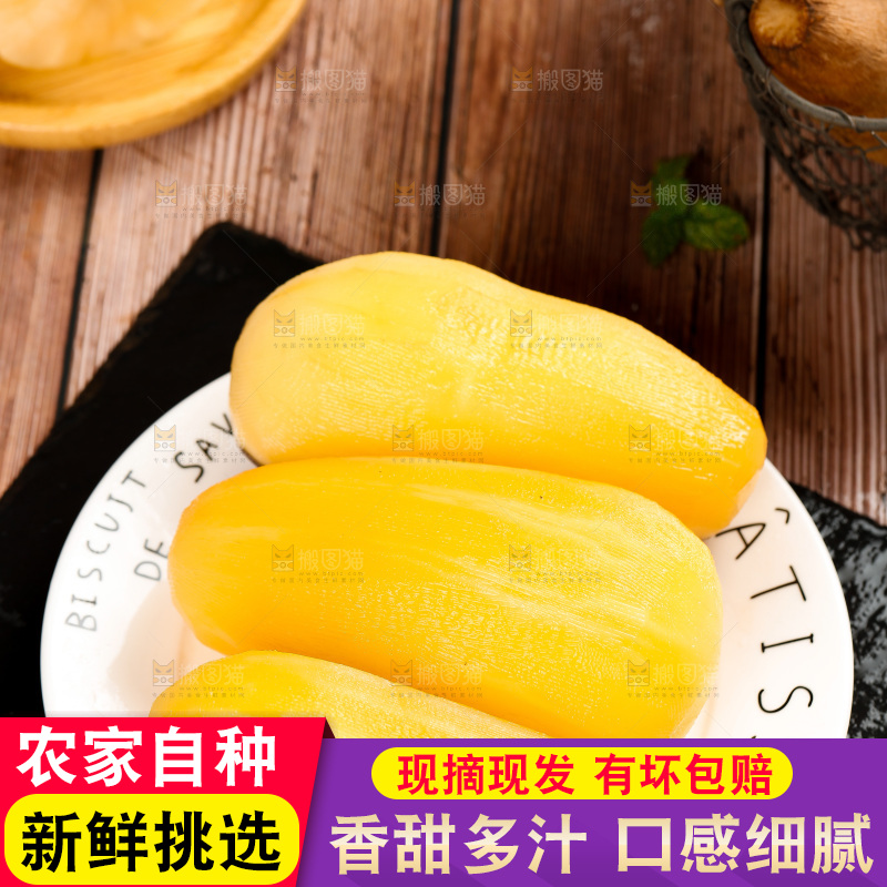 盘子里的天山雪莲果