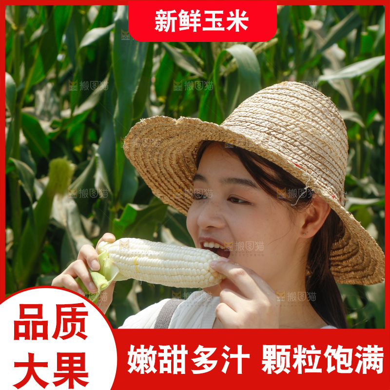 女孩正在吃着牛奶玉米