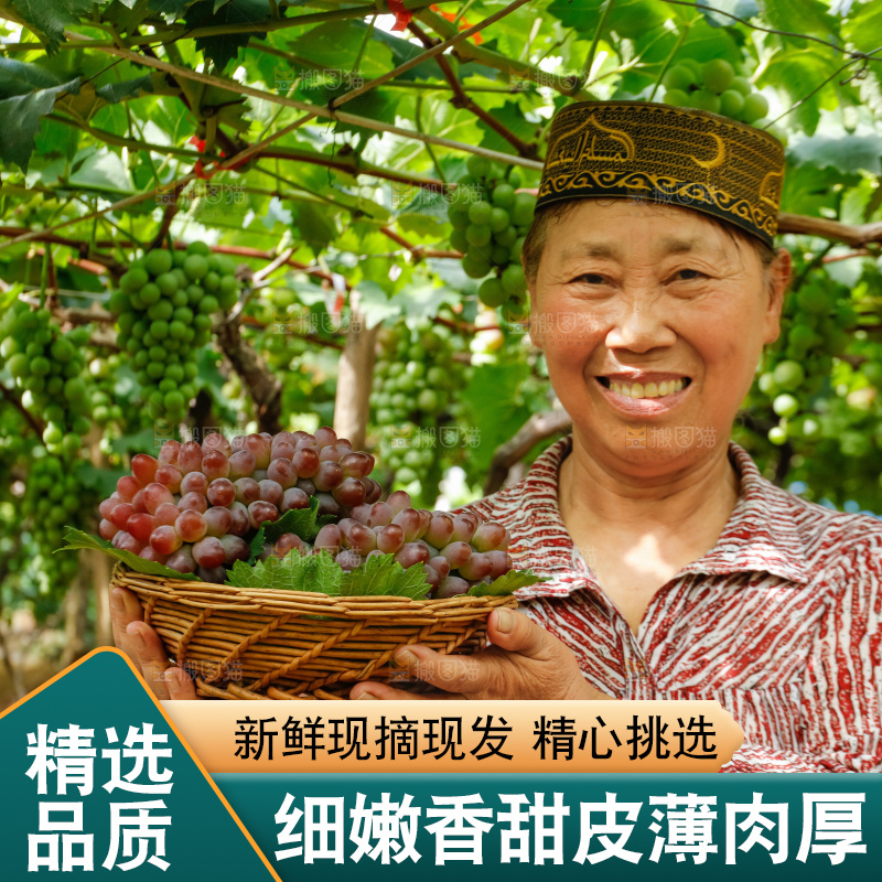 农民手里拿着一篮茉莉香红提
