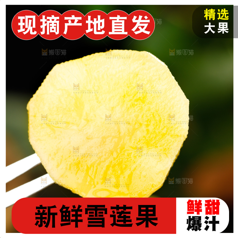 叉子上插着黄心雪莲果