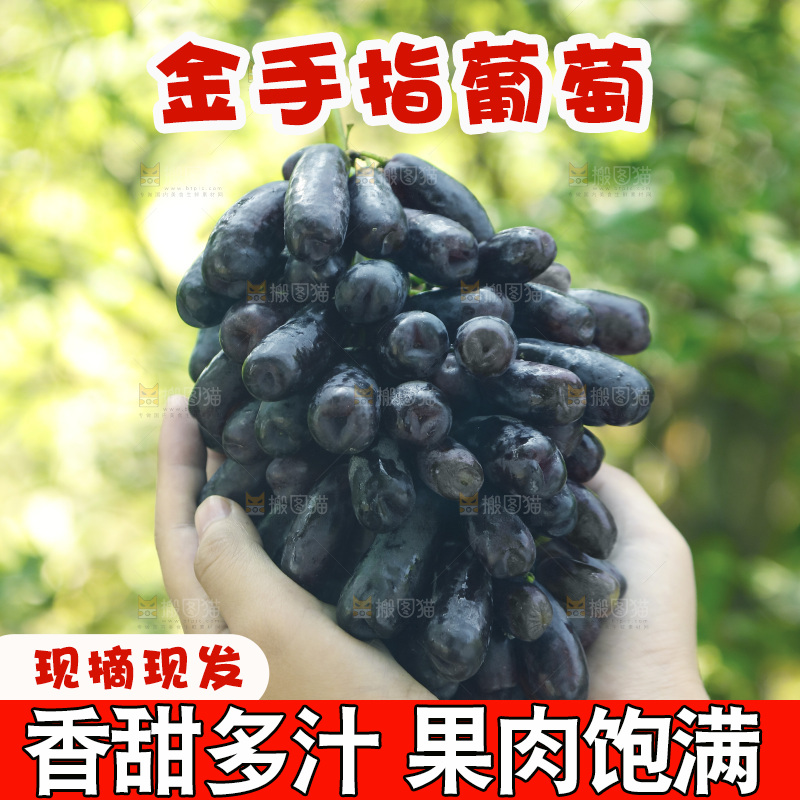 手里拿着一串蓝宝石葡萄