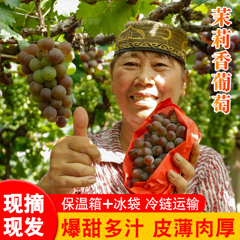 农民手里拿着茉莉香提子