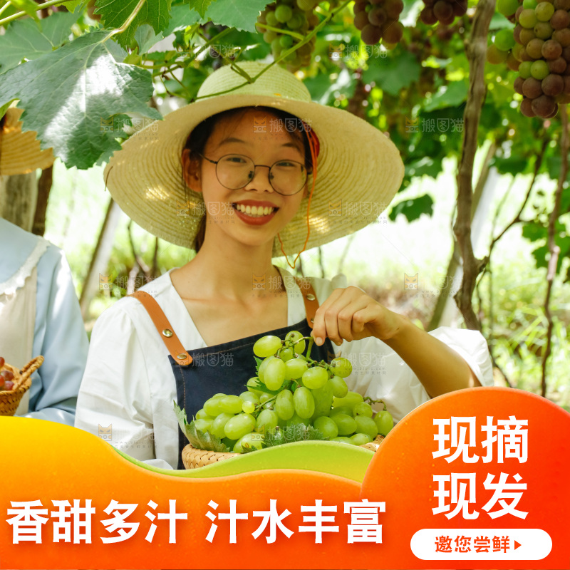 女孩手里拿着一篮青提