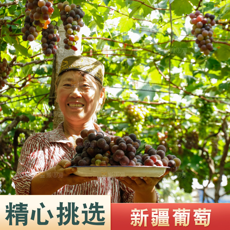 农民手里拿着一盘新鲜葡萄