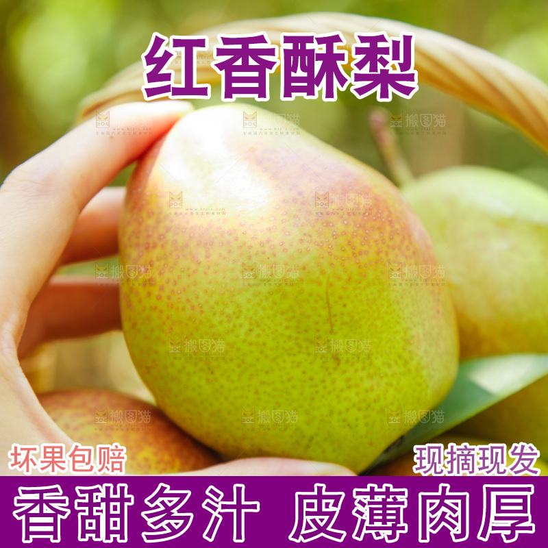 手里拿着红香酥梨