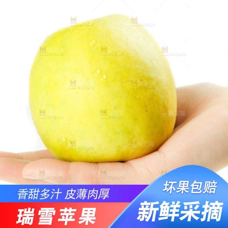 手里放着白水瑞雪苹果