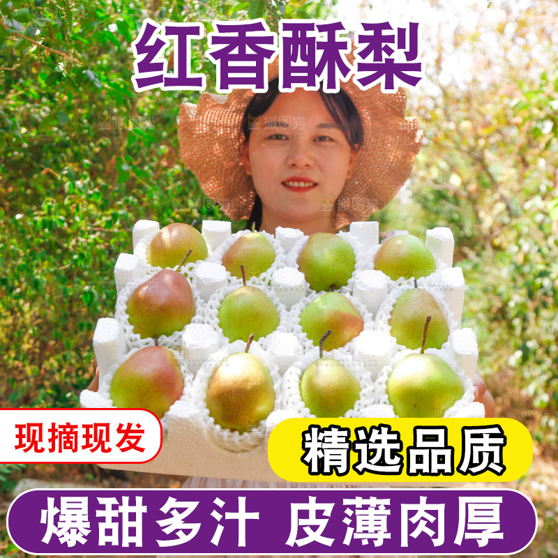 女孩拿着一箱红香酥梨