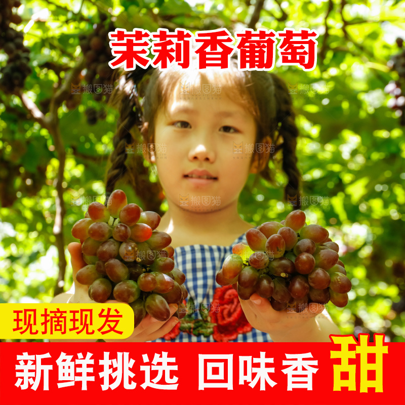 女孩手里拿着茉莉香提子