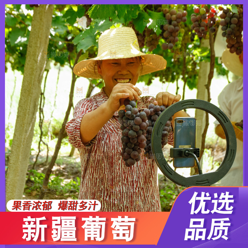农民手里拿着大串葡萄