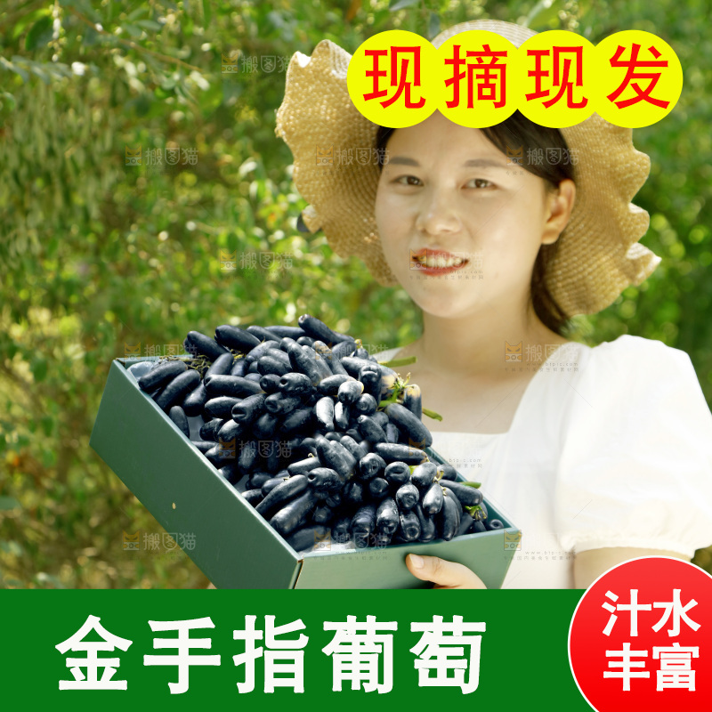 女孩拿着一盒蓝宝石葡萄