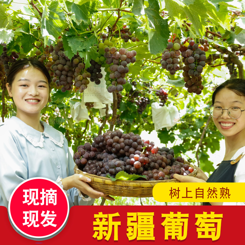 女孩拿着一篮现摘葡萄