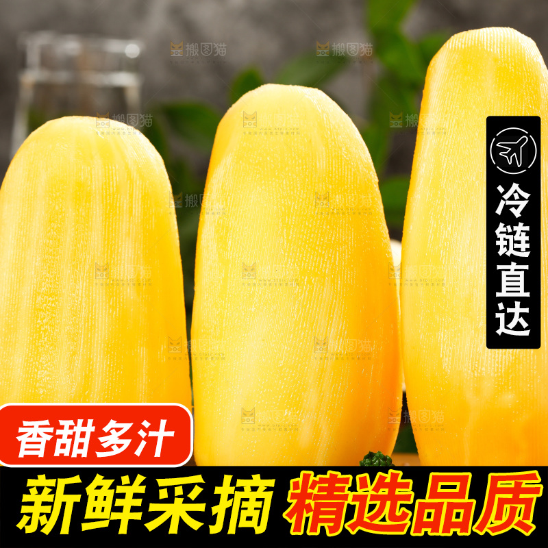 木底上的雪莲果