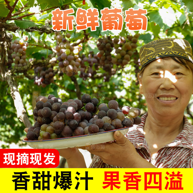 农民手里拿着一盘新鲜葡萄