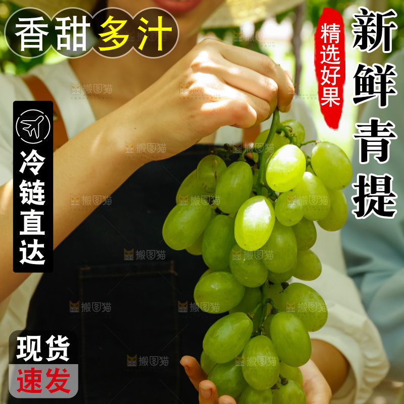 女孩手里拿着青提