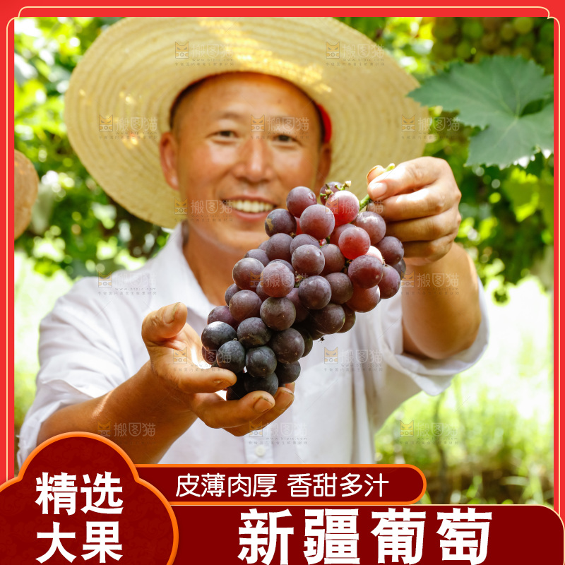 农民手里拿着大串葡萄