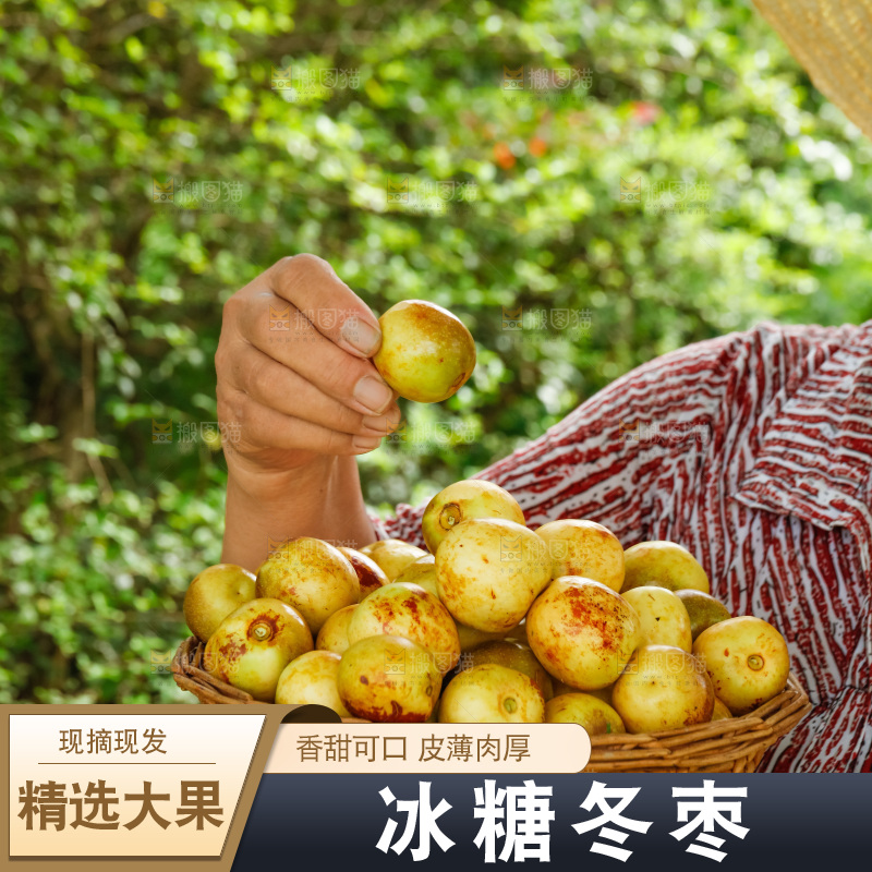 手里拿着一筐冬枣