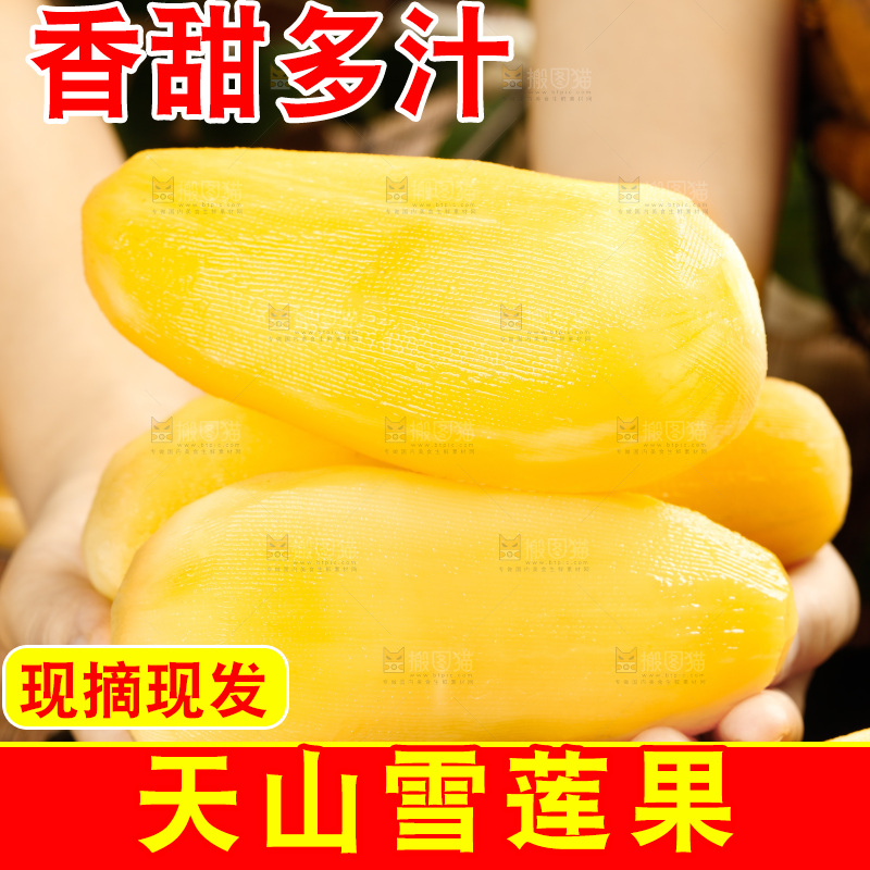手里放着雪莲果