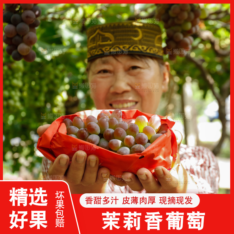 农民手里拿着茉莉香提子
