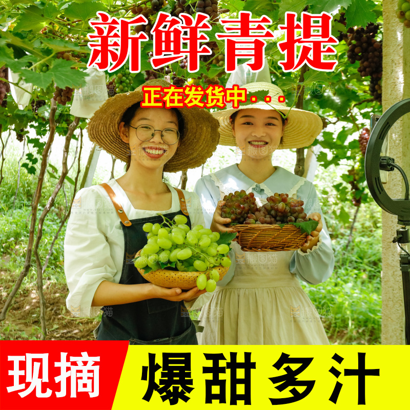 女孩手里拿着青提