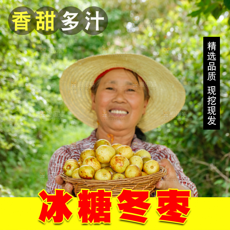 农民手里拿着一篮冬枣