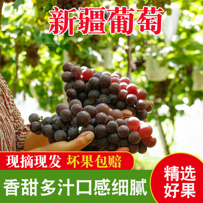 农民手里拿着葡萄