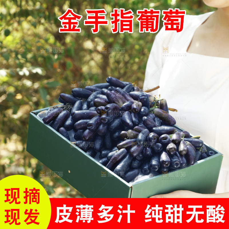 女孩拿着一盒蓝宝石葡萄