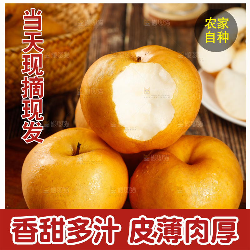 秋月梨主图
