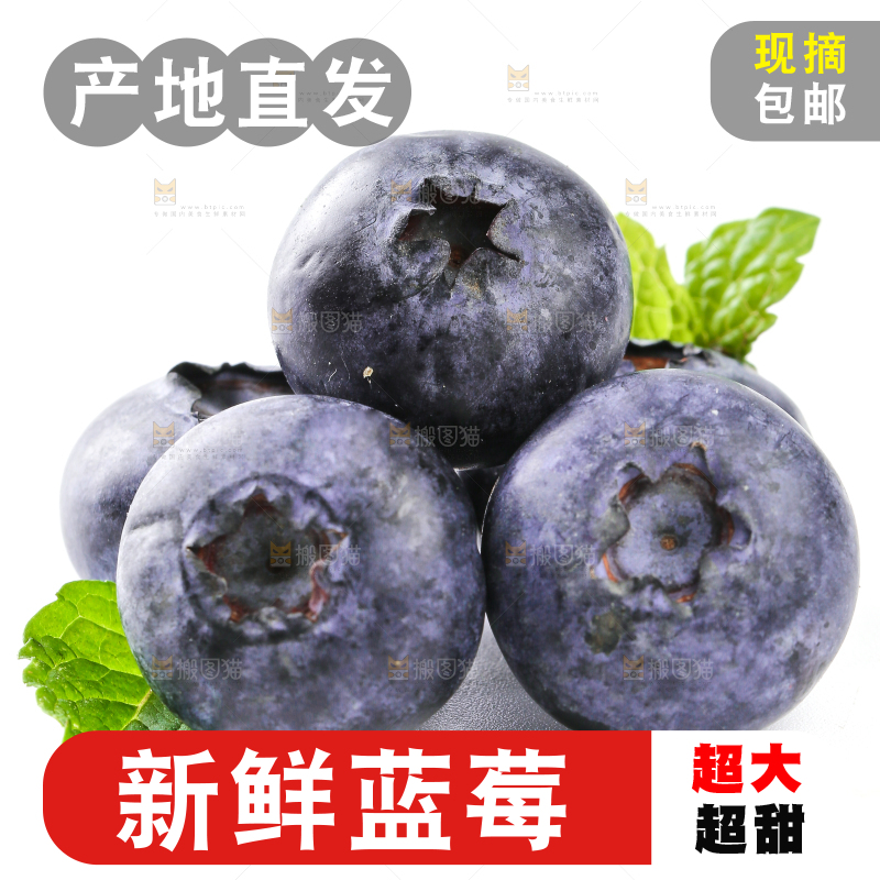 白底上放着的新鲜蓝莓