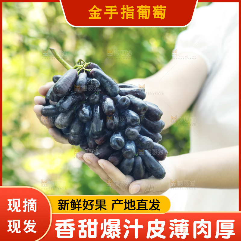 手里拿着一串蓝宝石葡萄