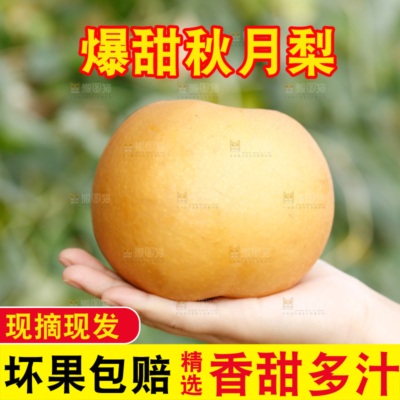 手里拿着新鲜秋月梨