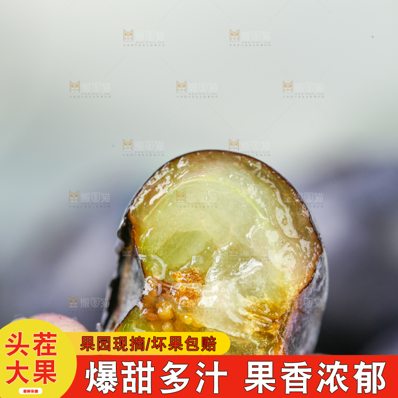 手里拿着蓝莓鲜果