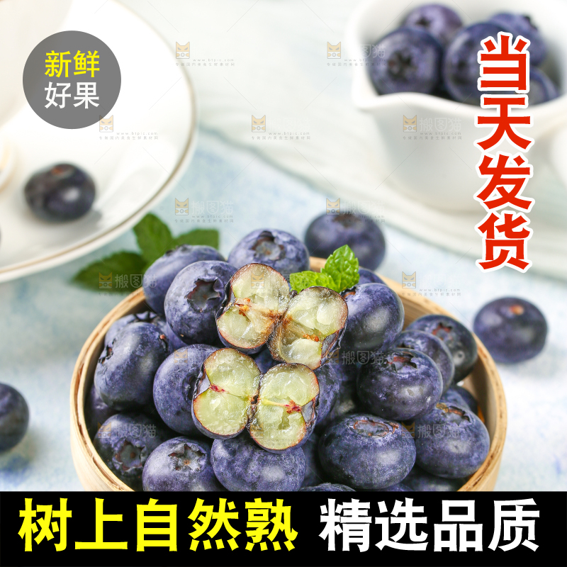 浅底上的一篮高山蓝莓