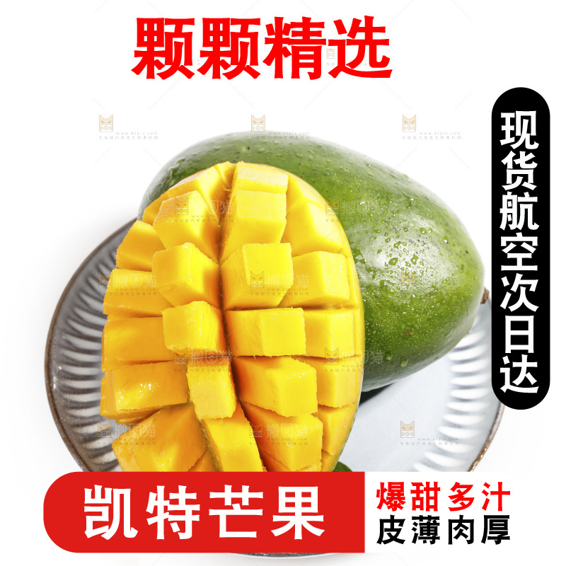 白底上的一盘凯特芒
